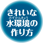 きれいな水環境の作り方